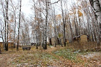 15. Лесные дорожки