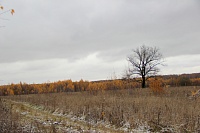 17. Живописные поля