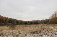 17. Живописные поля
