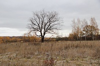 17. Живописные поля