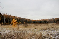 17. Живописные поля